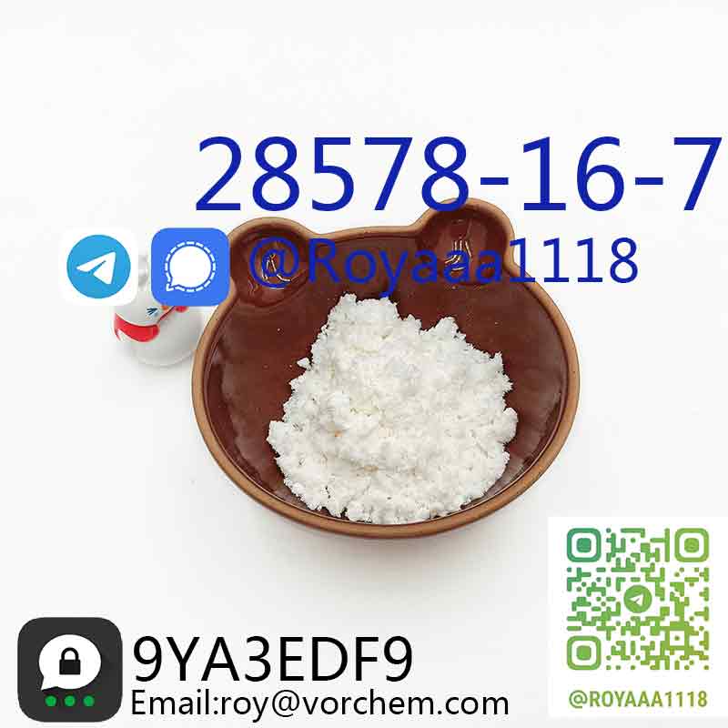 PMK ethyl glycidate powder Hot selling